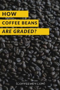 How are Coffee Beans Graded