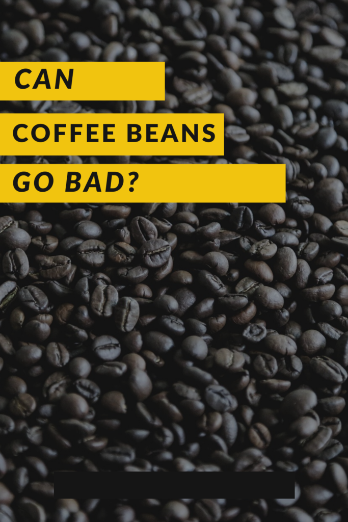 Can Coffee Beans Go Bad can-coffee-beans-go-bad