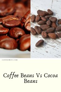 Coffee Beans Vs Cocoa Beans