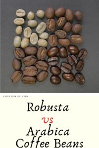 Robusta vs Arabica Coffee Beans