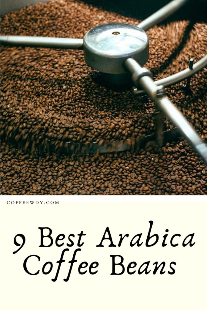 Best Arabica Coffee Beans The Top 9 Flavors Not To Miss!