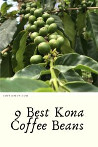 Best Kona Coffee Beans