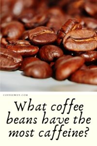 What coffee beans have the most caffeine?