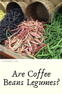 Are Coffee Beans Legumes?