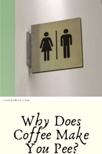 Why Does Coffee Make You Pee?